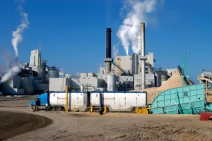 Paper and Pulp